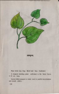 Tambulam leaf